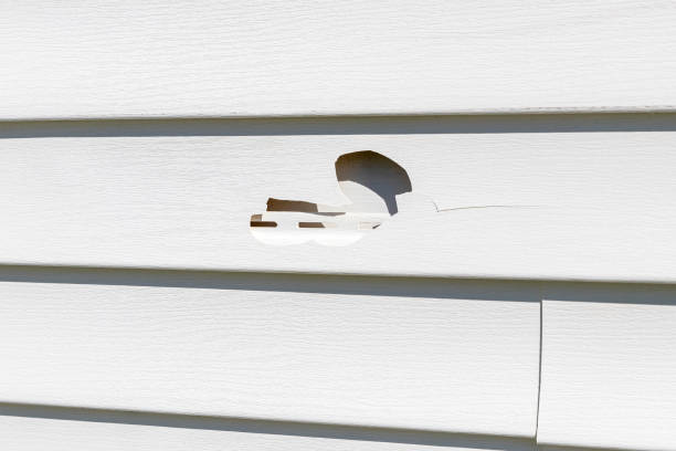 Best Hoarding Cleanup  in Poplarville, MS