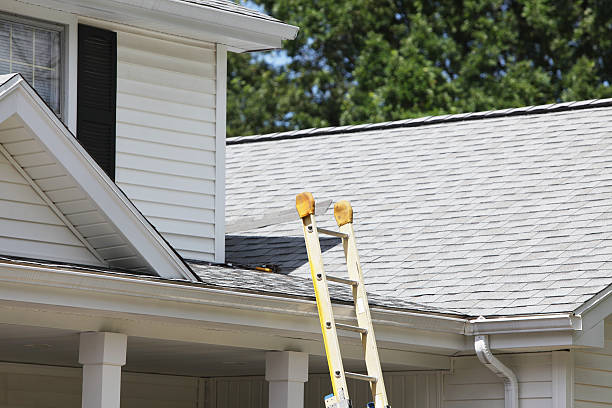 Best Carpet Removal and Disposal  in Poplarville, MS